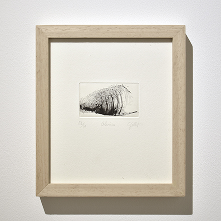 Catherine Gillet 2026
